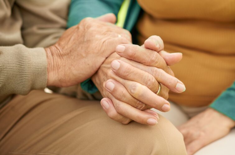 Personal Companion Services